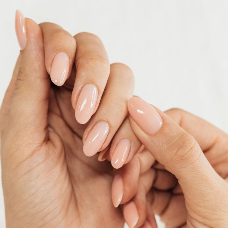 Artificial Nail Models